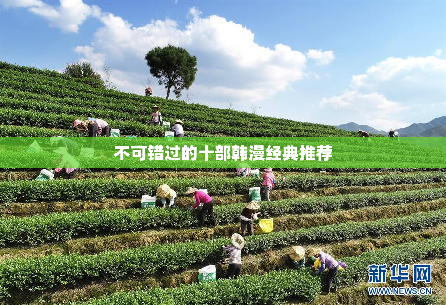 不可错过的十部韩漫经典推荐