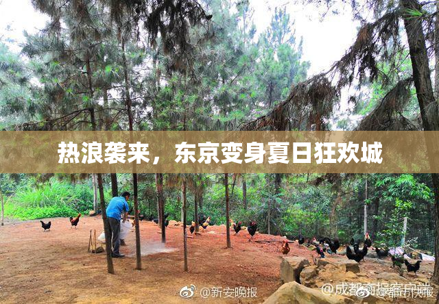 热浪袭来，东京变身夏日狂欢城