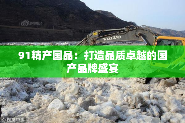 91精产国品：打造品质卓越的国产品牌盛宴