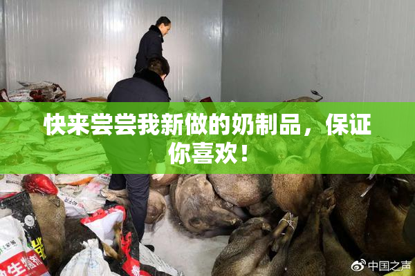 快来尝尝我新做的奶制品，保证你喜欢！