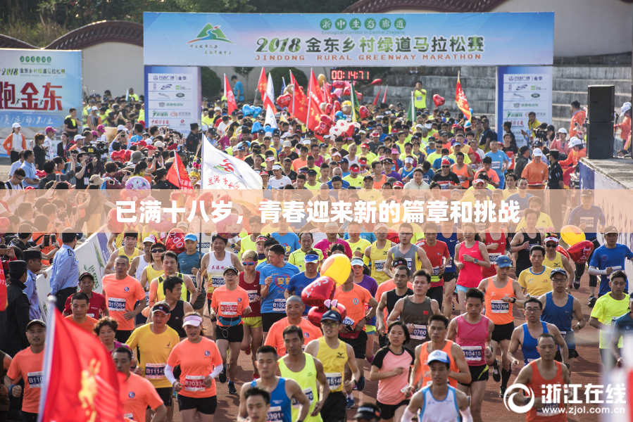 已满十八岁，青春迎来新的篇章和挑战