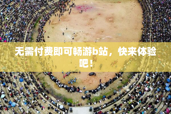 无需付费即可畅游b站，快来体验吧！