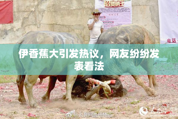 伊香蕉大引发热议，网友纷纷发表看法