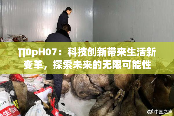 ∏0pH07：科技创新带来生活新变革，探索未来的无限可能性