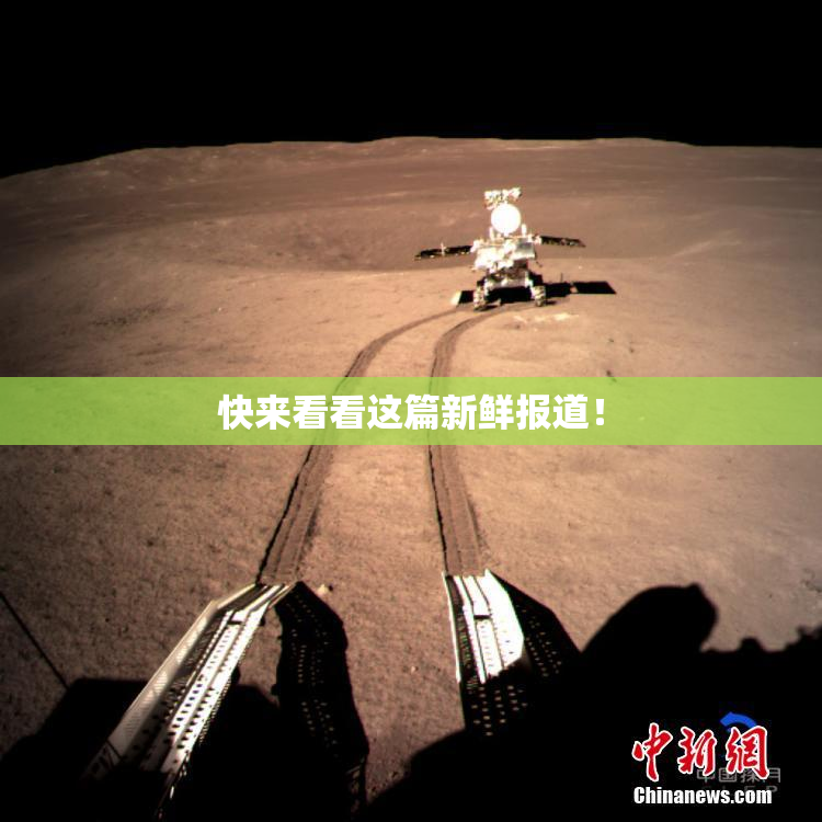 快来看看这篇新鲜报道！