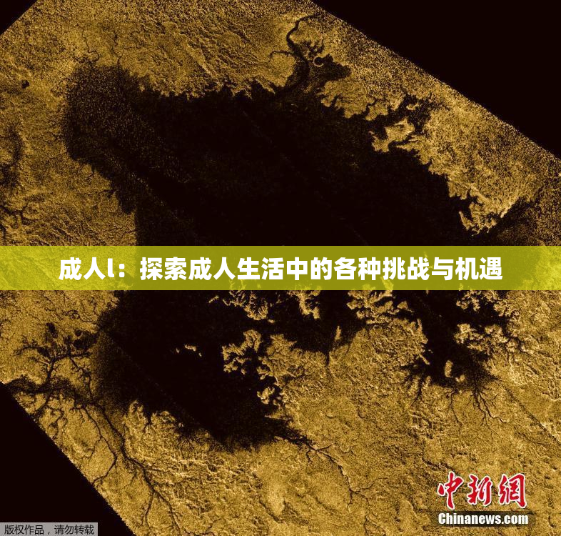成人l：探索成人生活中的各种挑战与机遇
