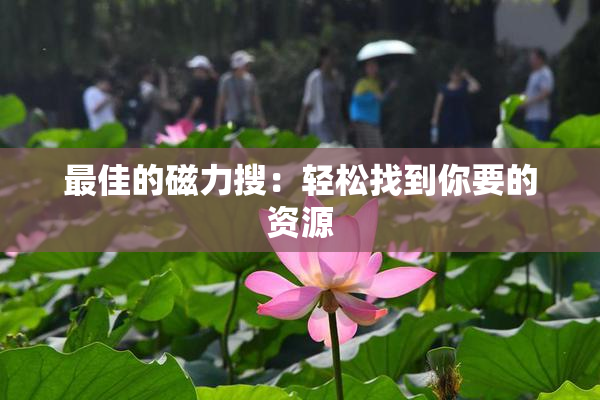 最佳的磁力搜：轻松找到你要的资源