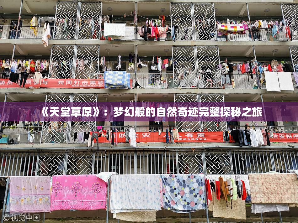 《天堂草原》：梦幻般的自然奇迹完整探秘之旅