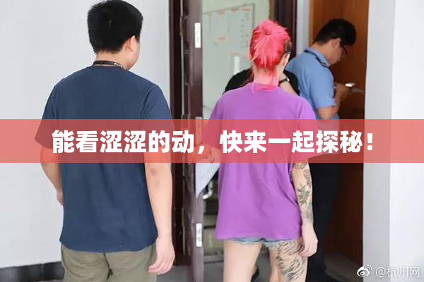 能看涩涩的动，快来一起探秘！