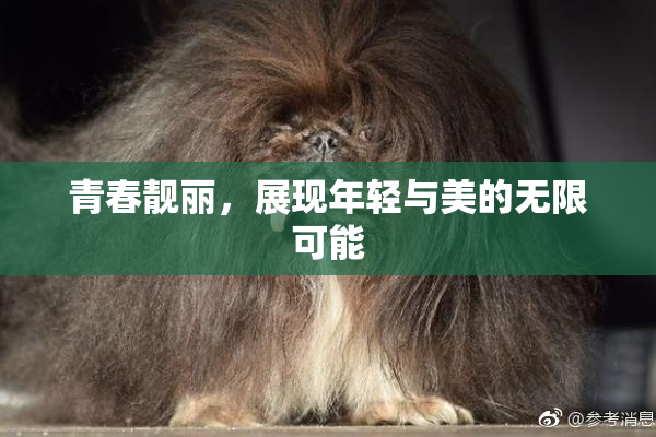 青春靓丽，展现年轻与美的无限可能