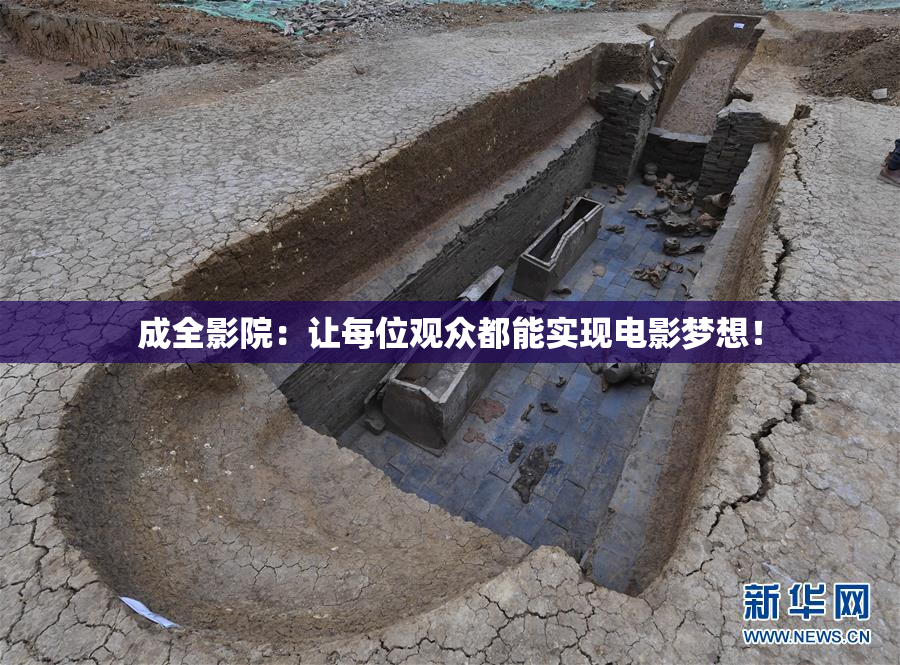 成全影院：让每位观众都能实现电影梦想！