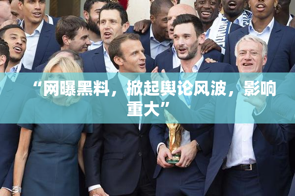 “网曝黑料，掀起舆论风波，影响重大”
