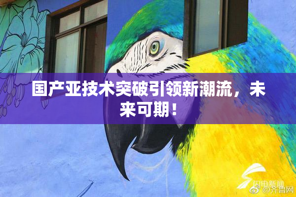 国产亚技术突破引领新潮流，未来可期！