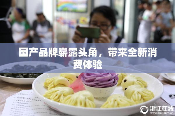 国产品牌崭露头角，带来全新消费体验