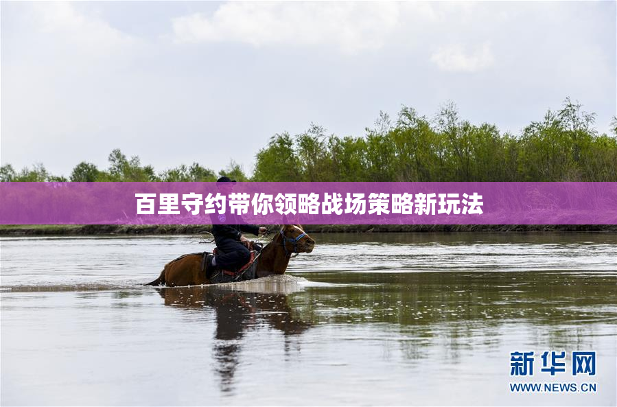 百里守约带你领略战场策略新玩法