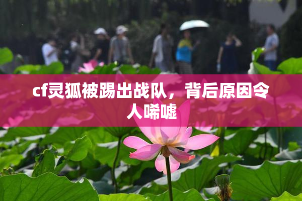 cf灵狐被踢出战队，背后原因令人唏嘘