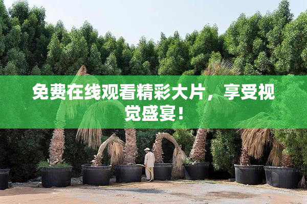 免费在线观看精彩大片，享受视觉盛宴！