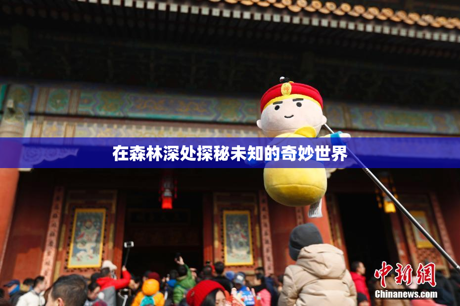 在森林深处探秘未知的奇妙世界