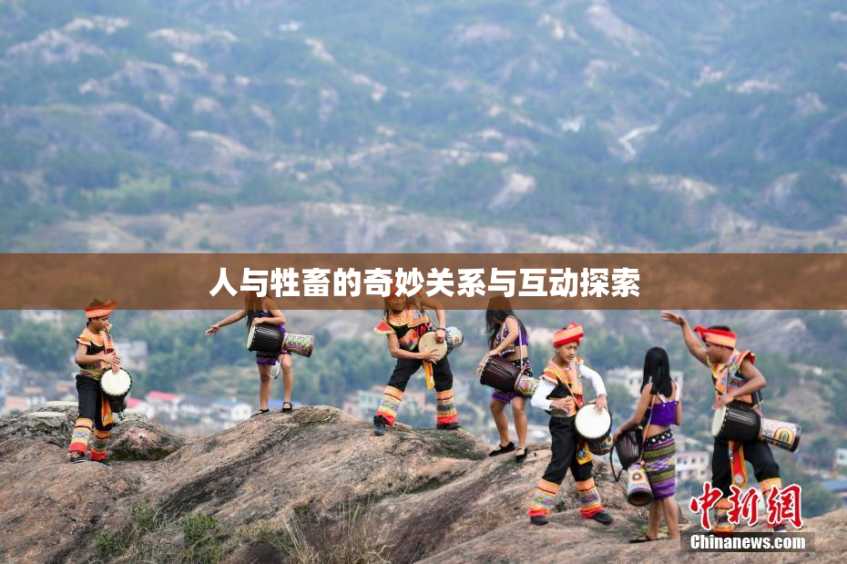人与牲畜的奇妙关系与互动探索