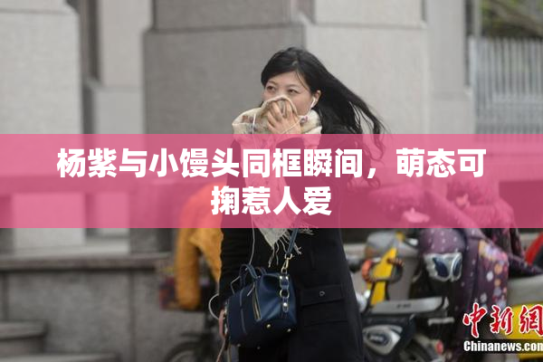 杨紫与小馒头同框瞬间，萌态可掬惹人爱