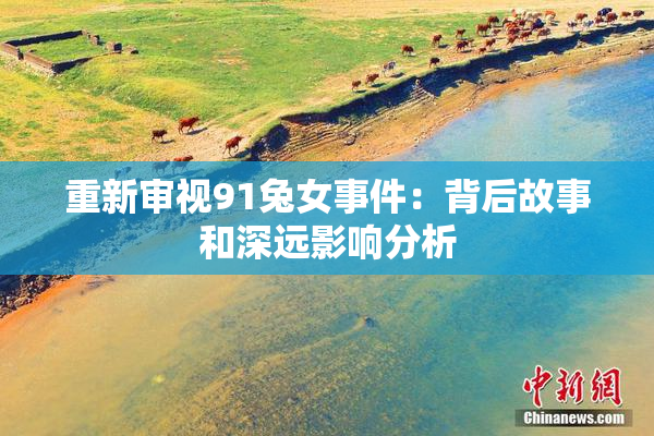 重新审视91兔女事件：背后故事和深远影响分析