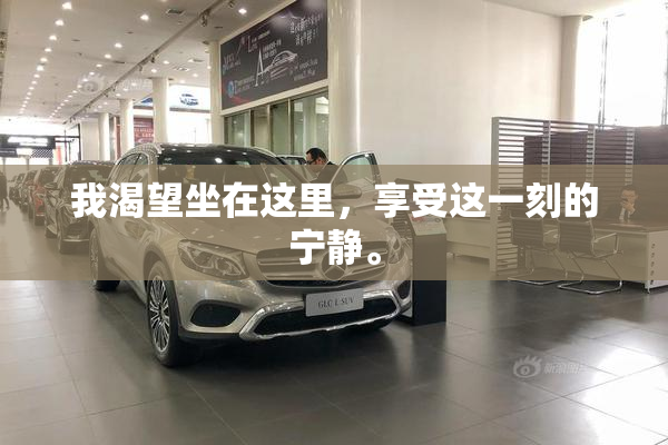 我渴望坐在这里，享受这一刻的宁静。
