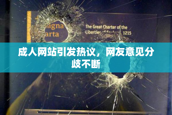成人网站引发热议，网友意见分歧不断