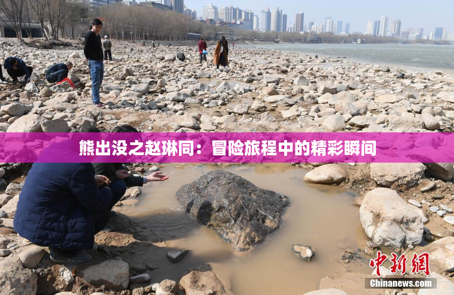 熊出没之赵琳同：冒险旅程中的精彩瞬间