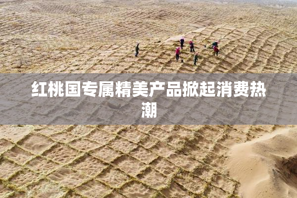 红桃国专属精美产品掀起消费热潮