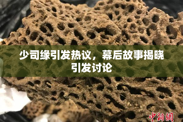 少司缘引发热议，幕后故事揭晓引发讨论