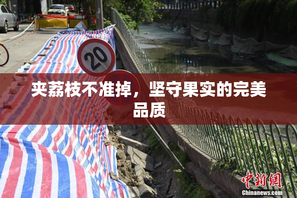 夹荔枝不准掉，坚守果实的完美品质