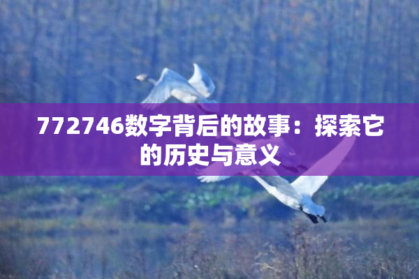 772746数字背后的故事：探索它的历史与意义