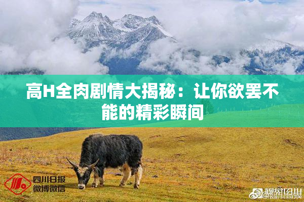 高H全肉剧情大揭秘：让你欲罢不能的精彩瞬间
