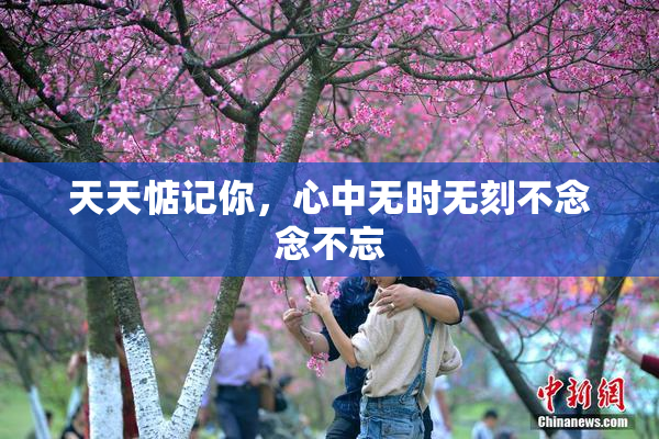 天天惦记你，心中无时无刻不念念不忘