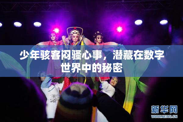 少年骇客闷骚心事，潜藏在数字世界中的秘密