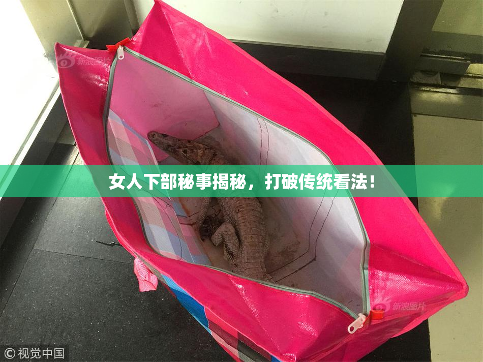 女人下部秘事揭秘，打破传统看法！