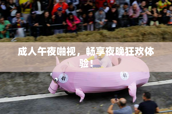 成人午夜啪视，畅享夜晚狂欢体验！