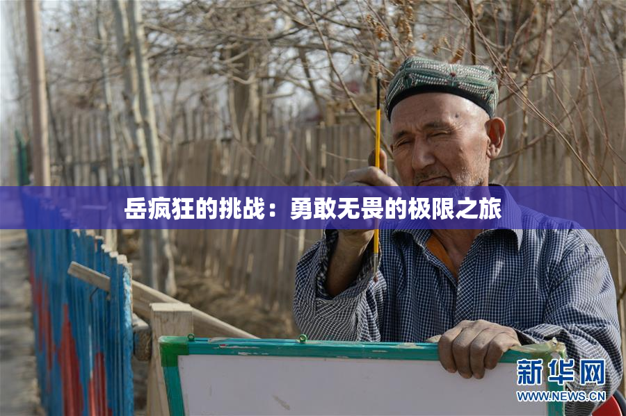 岳疯狂的挑战：勇敢无畏的极限之旅