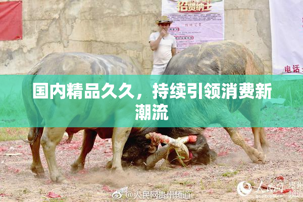 国内精品久久，持续引领消费新潮流