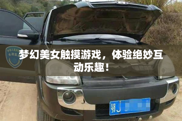 梦幻美女触摸游戏，体验绝妙互动乐趣！