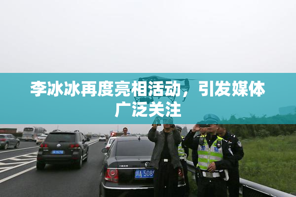 李冰冰再度亮相活动，引发媒体广泛关注