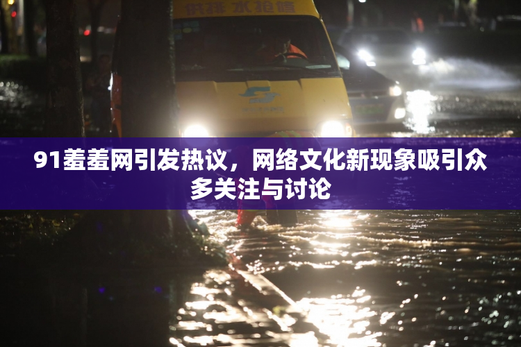 91羞羞网引发热议，网络文化新现象吸引众多关注与讨论