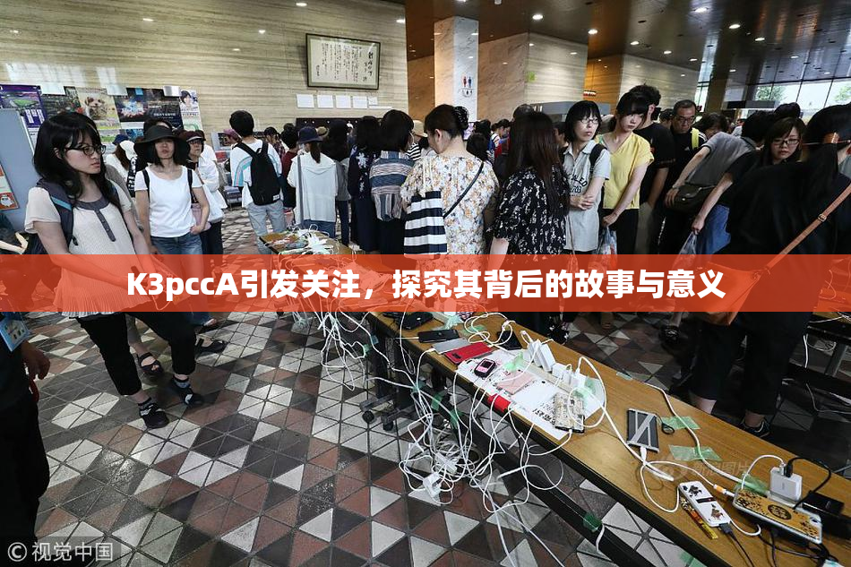 K3pccA引发关注，探究其背后的故事与意义