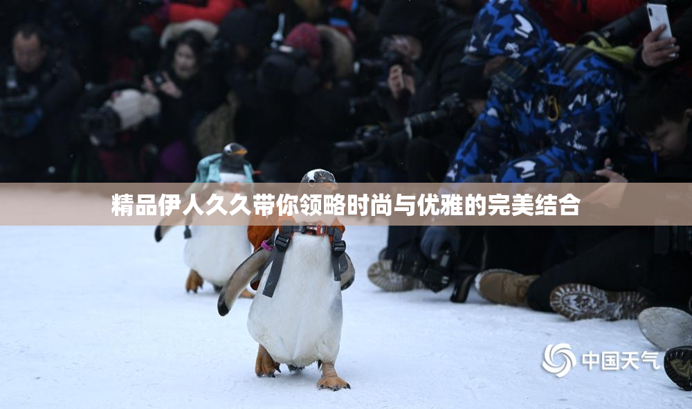 精品伊人久久带你领略时尚与优雅的完美结合