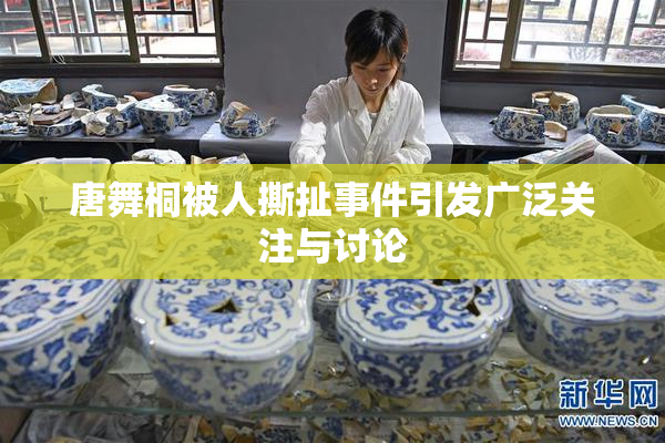 唐舞桐被人撕扯事件引发广泛关注与讨论