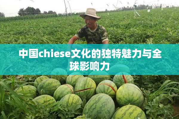 中国chiese文化的独特魅力与全球影响力