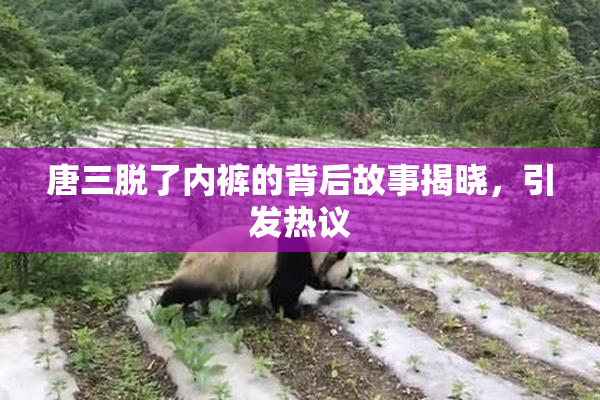 唐三脱了内裤的背后故事揭晓，引发热议