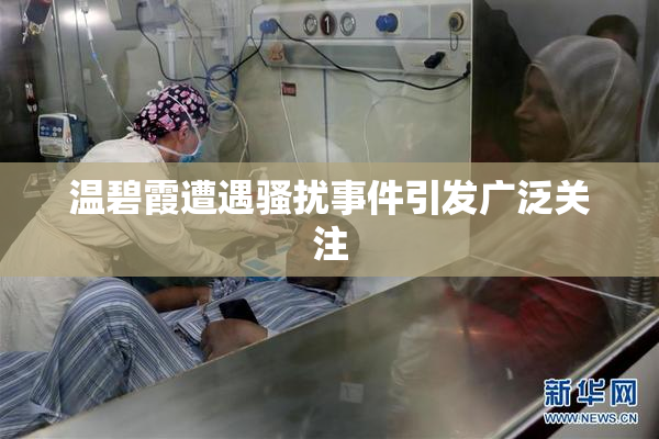 温碧霞遭遇骚扰事件引发广泛关注