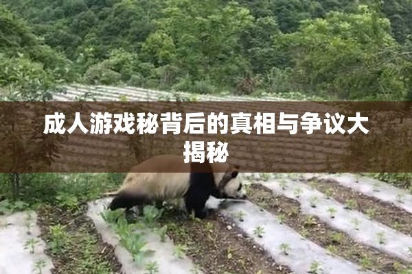 成人游戏秘背后的真相与争议大揭秘