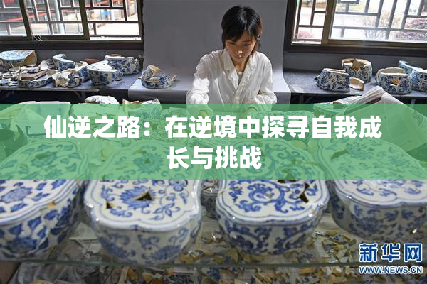 仙逆之路：在逆境中探寻自我成长与挑战